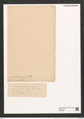 Eunotia amphidicranon Ehr. (de-Toni-Nr.: Genus 104, Species 3191) Zeichnungen Sammlung Grunow (NHMW-BOT-W0375280)